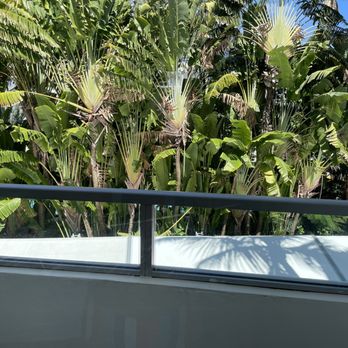Sagamore Hotel - Balcony view - Hotels Near Me - Miami Beach, Florida Sagamore Hotel - Balcony view - Hotels Near Me - Miami Beach, Florida