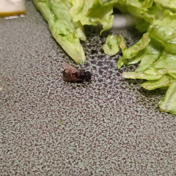Ringside Lounge - Burnt BEE found in my salad. - Sports Bars Near Me - Jersey City, New Jersey Ringside Lounge - Burnt BEE found in my salad. - Sports Bars Near Me - Jersey City, New Jersey