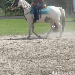 Firefly Equestrian