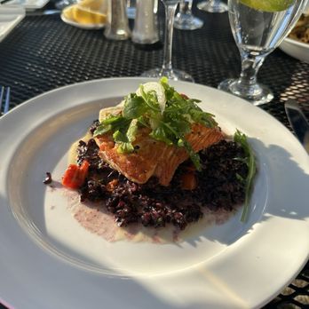 Alma Nove - Salmon - Mediterranean Near Me - Hingham, Massachusetts