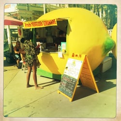 SD Lemon Life