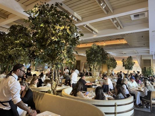 Avra Beverly Hills by null