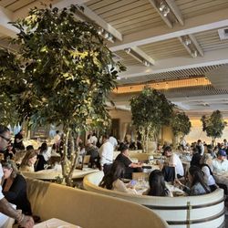 Avra Beverly Hills - Inside