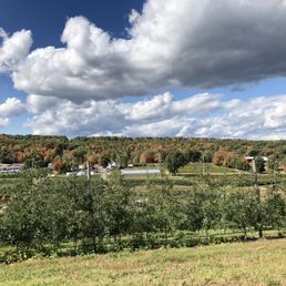 a view of a farm in the fall