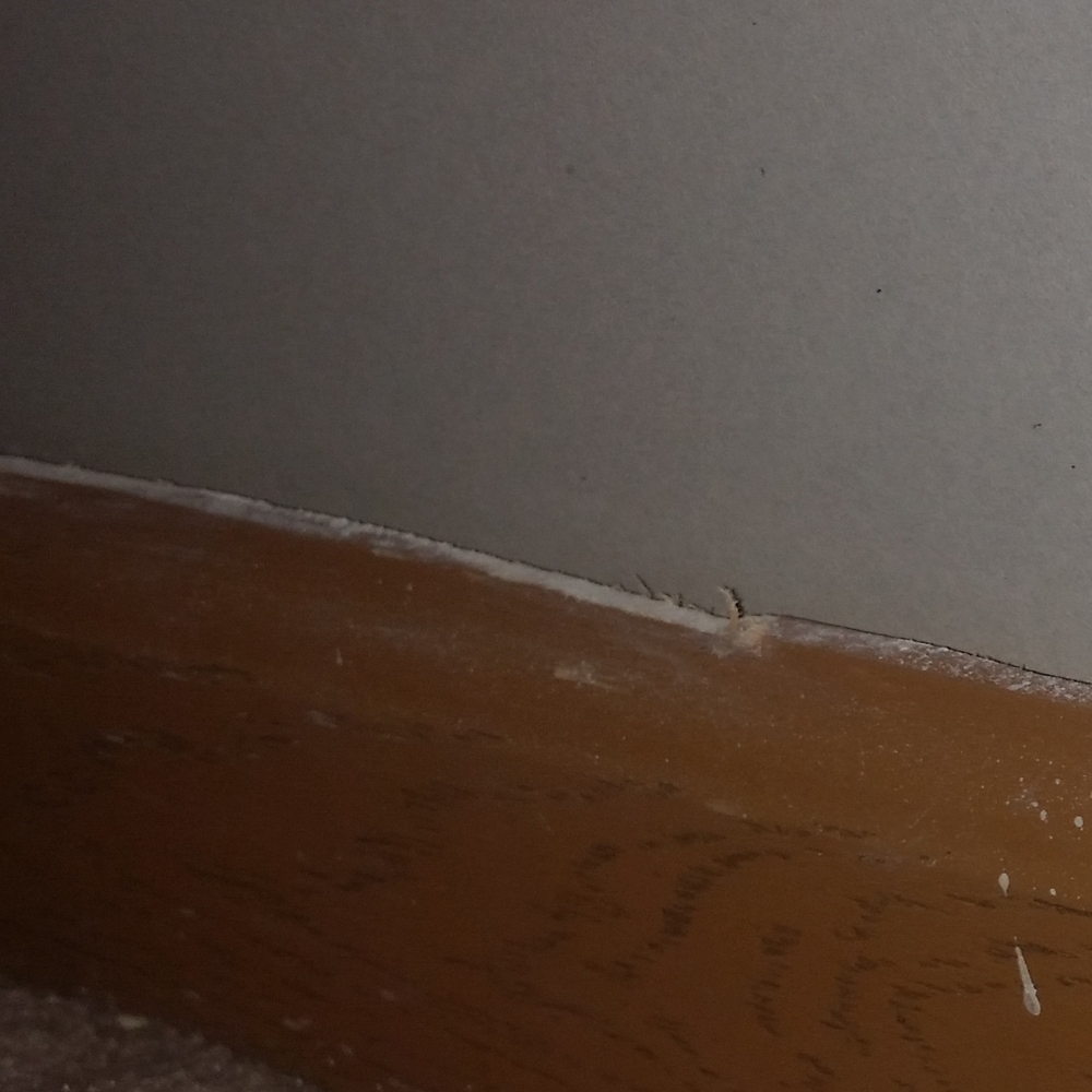 Rapid Mold Removal - Baseboard damage. Absolutely no care taken. - Environmental Abatement Near Me Rapid Mold Removal - Baseboard damage. Absolutely no care taken. - Environmental Abatement Near Me