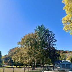 Stagg Field - View from small parking lot