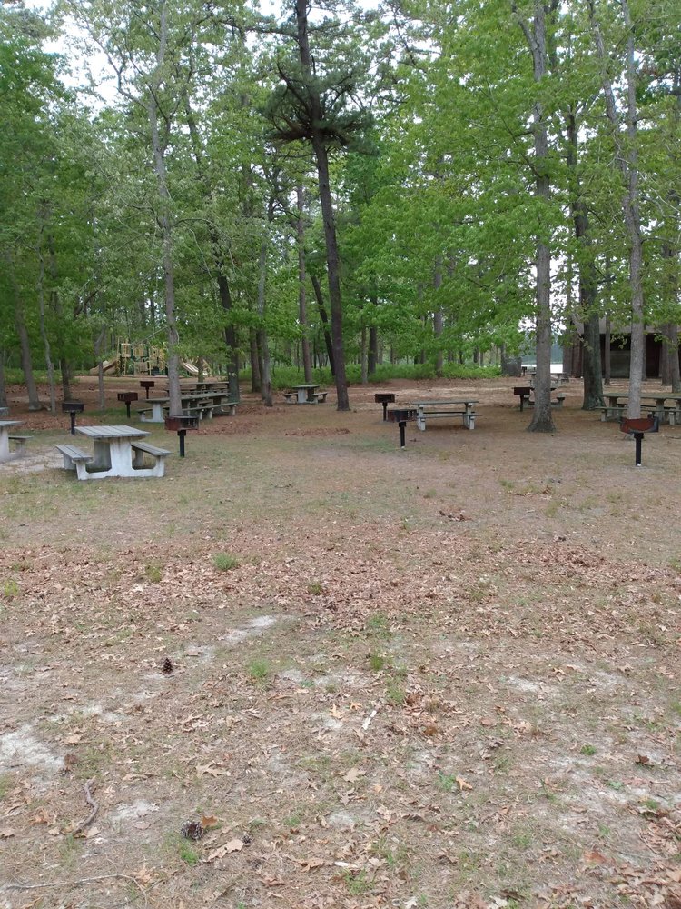 BASS RIVER STATE FOREST Updated September 2024 50 Photos & 18