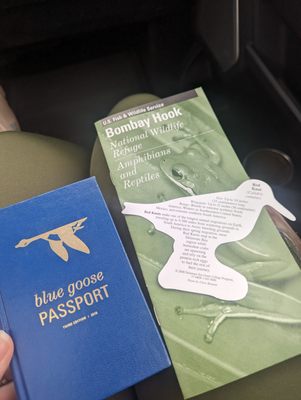 Bombay Hook National Wildlife Refuge by null