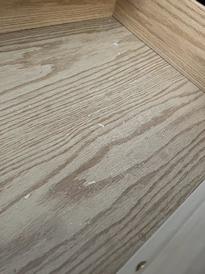 Travelodge by Wyndham Bishop by null