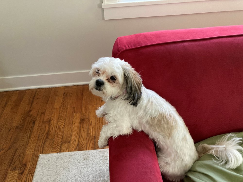 RCB BANK Updated September 2024 Request Information 1330 E 17th