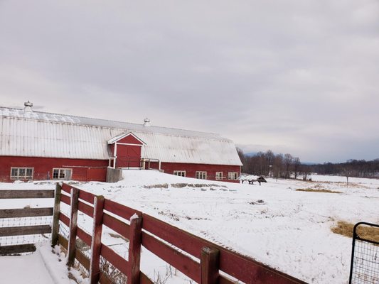 Blue Ledge Farm by null