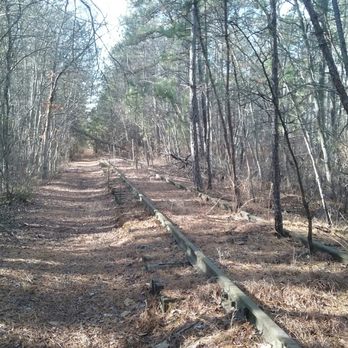 Wharton State Forest - Southern NJ RR - Hiking Near Me - Hammonton, New Jersey