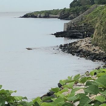 Cliff Walk - Parks Near Me - Newport, Rhode Island Cliff Walk - Parks Near Me - Newport, Rhode Island