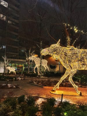 Four Seasons Hotel Toronto by null