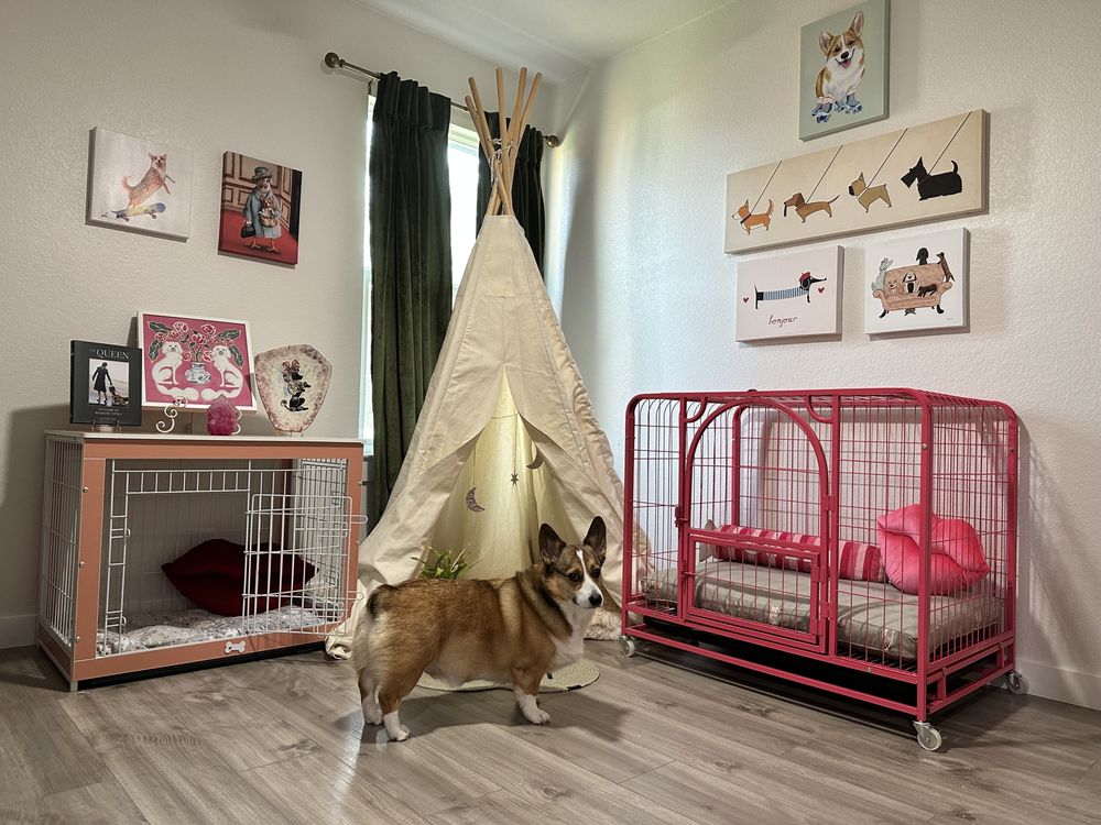 Pawstin City Licks - pet boarding facility in Austin, TX