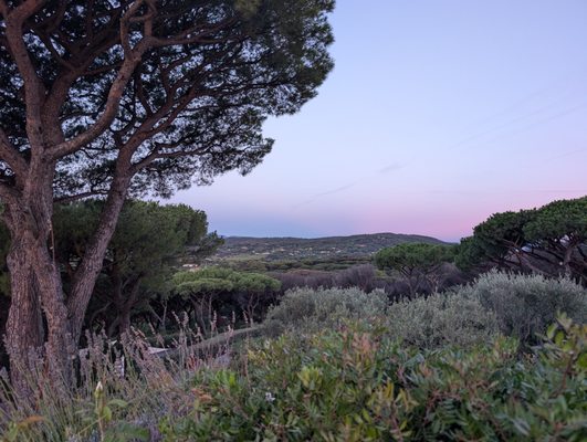 Airelles Saint-Tropez, Château de la Messardière by null