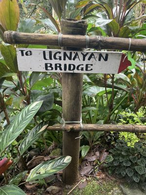 Tam-awan Village by null