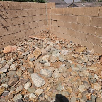 Palms & Trees Services - Tree Services Near Me - Las Vegas, Nevada Palms & Trees Services - Tree Services Near Me - Las Vegas, Nevada