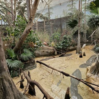 Brookfield Zoo Chicago - Zoos Near Me - Brookfield, Illinois Brookfield Zoo Chicago - Zoos Near Me - Brookfield, Illinois