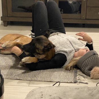 Redefined Dog Training - Pet Training Near Me