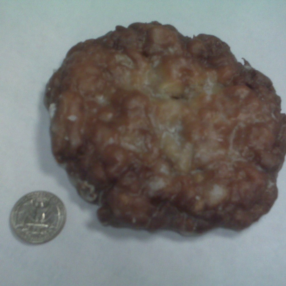Icy Donuts - apple fritter - Donuts Near Me - Spring, Texas Icy Donuts - apple fritter - Donuts Near Me - Spring, Texas