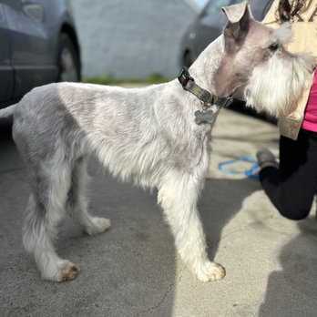 Bit O'Blarney Pet Services - Pet Groomers Near Me - Salinas, California