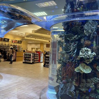 Scheels - Sports Wear Near Me - Billings, Montana