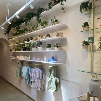 Coffee and Plants - Merch wall - Coffee & Tea Near Me - Studio City, California Coffee and Plants - Merch wall - Coffee & Tea Near Me - Studio City, California