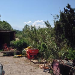 Domaine Treloar - Am Horizont nur zu erahnen, der Canigou, der "heilige" Berg des Roussillon