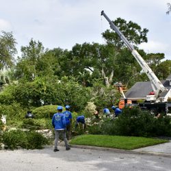 Kevin's Tree Service - Certified Arborist on staff, Licensed & Insured. Free Estimates.