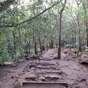 Ehukai Pillbox Hike - Hiking Near Me - Haleiwa, Hawaii
