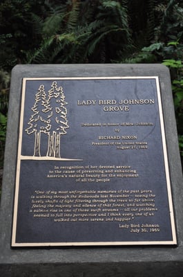 Lady Bird Johnson Grove Trail by null