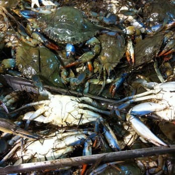H Mart - Niles - Live Blue Crab - Grocery Near Me - Niles, Illinois H Mart - Niles - Live Blue Crab - Grocery Near Me - Niles, Illinois