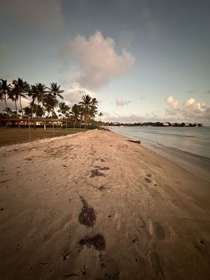 Copamarina Beach Resort & Spa by null
