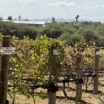 Cuna de Tierra - Wine Tours Near Me - Dolores Hidalgo, GUA