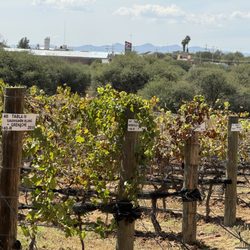 Cuna de Tierra