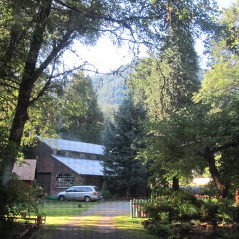 Caddisfly Resort - View out of our cabin. Beautifully landscaped grounds. - Hotels Near Me - Mc Kenzie Brg, Oregon