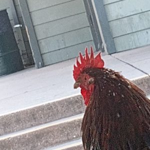 Foothill Family Clinic on Yelp