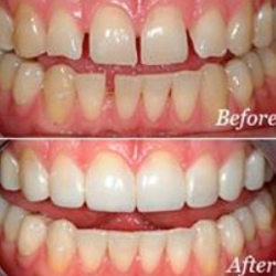 McDonald William J Dentist