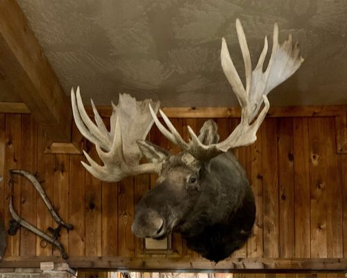 Rusty's Ranch House by null