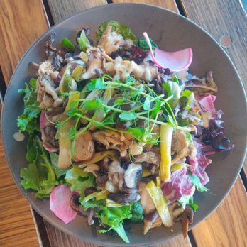 PublicUs - Huge mushroom salad - Coffee & Tea Near Me - Las Vegas, Nevada PublicUs - Huge mushroom salad - Coffee & Tea Near Me - Las Vegas, Nevada