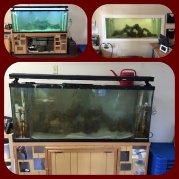 Fishy Dudes - New client restoration underway - Aquarium Services Near Me - Cutler Bay, Florida Fishy Dudes - New client restoration underway - Aquarium Services Near Me - Cutler Bay, Florida