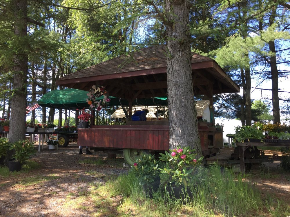 Lew S Farm Market Grocery 864 N Lenola Rd Moorestown Nj Phone Number Yelp