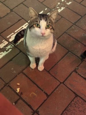 Fuego Cafe & Restaurant by null