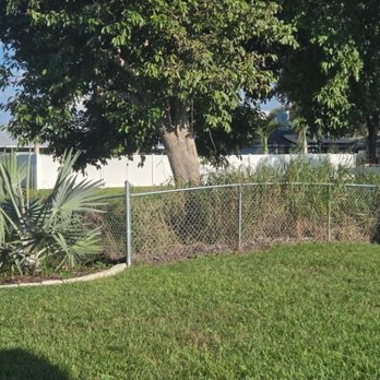 Stanley Landscaping - Before picture of over growth - Landscaping Near Me - Fort Pierce, Florida Stanley Landscaping - Before picture of over growth - Landscaping Near Me - Fort Pierce, Florida