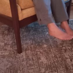Calico - 5'4"