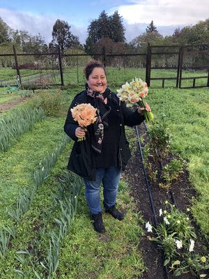 Wildflower & Fern by null