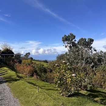 Ali'i Kula Lavender - view - Tours Near Me - Kula, Hawaii
