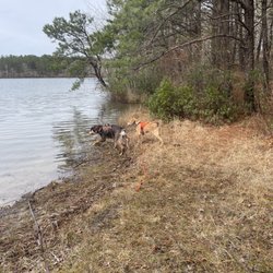 Myles Standish State Forest