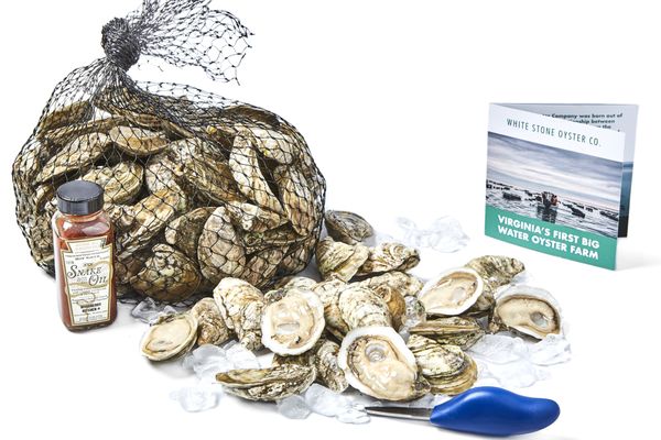 White Stone Oyster Company by null